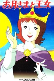 The Princess and the Moon 1983 on netflix