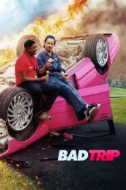 Bad Trip 2021 on netflix