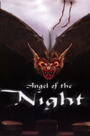 Angel of the Night 1998 on netflix