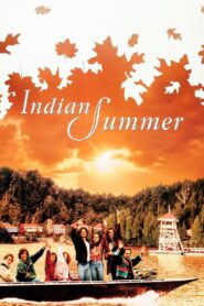 Indian Summer 1993 on netflix