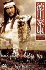 Tokugawa Ieyasu – TBS Warlord Special 1988 on netflix