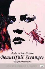 Beautiful Stranger 1993 on netflix