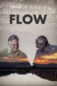 Flow 2022 on netflix