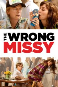 The Wrong Missy 2020 on netflix