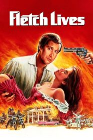 Fletch Lives 1989 on netflix