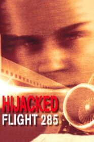 Hijacked: Flight 285 1996 on netflix