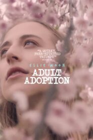 Adult Adoption 2023 on netflix