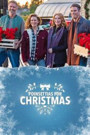 Poinsettias for Christmas 2018 on netflix