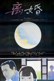 After Divorce 1992 on netflix
