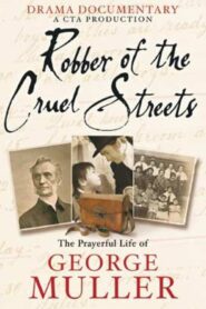 Robber of the Cruel Streets 2006 on netflix