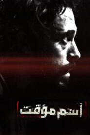Temporary Name 2013 on netflix
