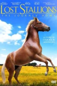 Lost Stallions: The Journey Home 2008 on netflix
