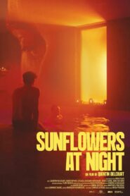 Sunflowers at Night 2024 on netflix