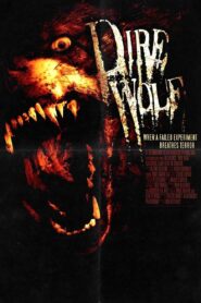 Dire Wolf 2009 on netflix