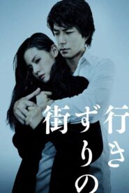 Strangers in the City 2010 on netflix