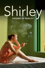Shirley: Visions of Reality 2013 on netflix