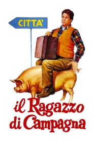 Il ragazzo di campagna 1984 on netflix