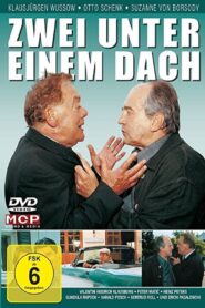 Zwei unter einem Dach 2001 on netflix