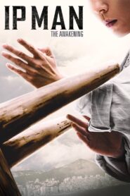 Ip Man: The Awakening 2021 on netflix