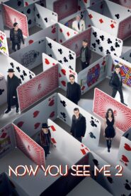 Now You See Me 2 2016 on netflix