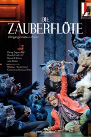 Die Zauberflöte 2012 on netflix