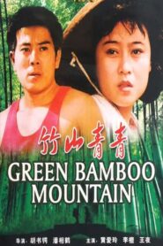 Green Bamboo Mountain 1982 on netflix