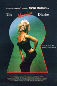 The Marilyn Diaries 1990 on netflix