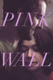 Pink Wall 2019 on netflix