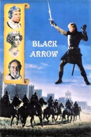 Black Arrow 1985 on netflix