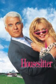 Housesitter 1992 on netflix