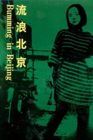 Bumming in Beijing: The Last Dreamers 1990 on netflix