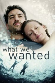 What We Wanted 2020 on netflix