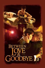 Between Love & Goodbye 2009 on netflix