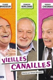 Vieilles canailles 2010 on netflix