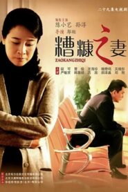 我的糟糠之妻 2011 on netflix