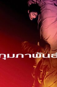 February 2003 on netflix
