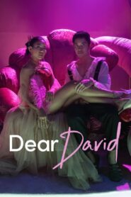 Dear David 2023 on netflix