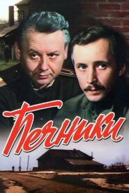 Stove Builders 1982 on netflix