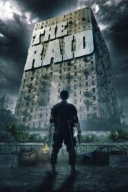 The Raid 2012 on netflix