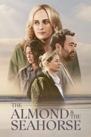 The Almond and the Seahorse 2022 on netflix
