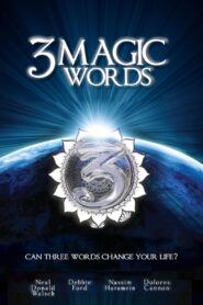 3 Magic Words 2010 on netflix