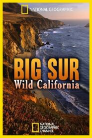 Big Sur: Wild California 2010 on netflix