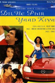 Dil Ne Phir Yaad Kiya 2001 on netflix