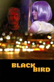 Blackbird 2007 on netflix