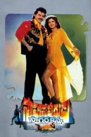 Saahasa Veerudu Saagara Kanya 1996 on netflix