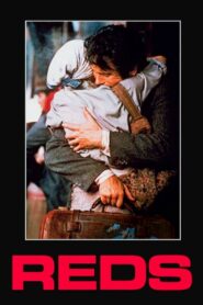 Reds 1981 on netflix