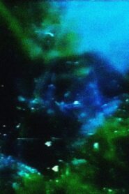 Earthen Aerie 1995 on netflix