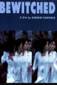 The Bewitched 1995 on netflix