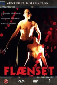 Flænset 2000 on netflix