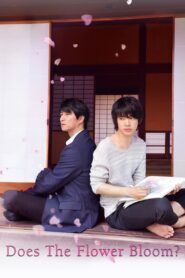 Does the Flower Bloom? 2018 on netflix